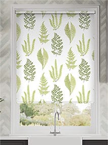 Angel Ferns Olive
