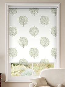 Bay Tree & Bird Fennel