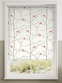 Springs Dawn Chorus Blossom
