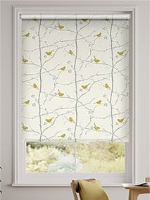 Springs Dawn Chorus Slate