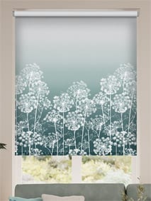 Dill Ocean