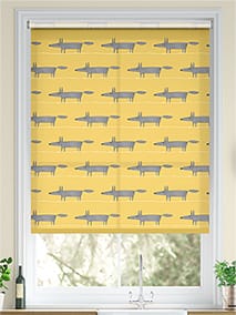 Mr Fox Mini Sunflower