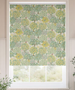 Tatton Candy Olive